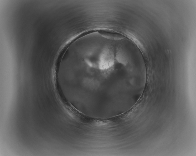 X0000112010346200908101346