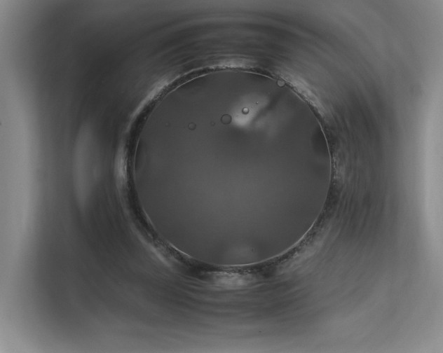 X0000112010347200908101346