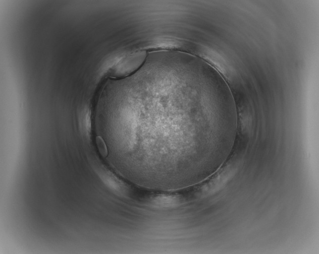 X0000112010350200908101346