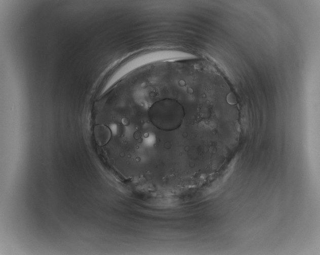 X0000112010351200908101346