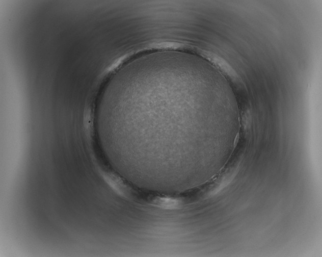 X0000112010352200908101346