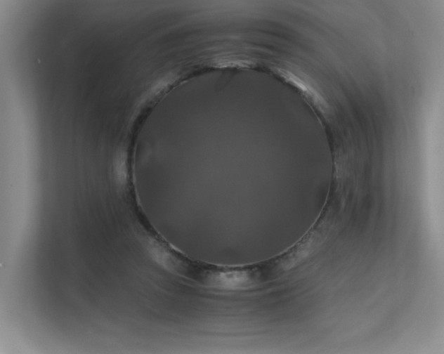 X0000112010353200908101346