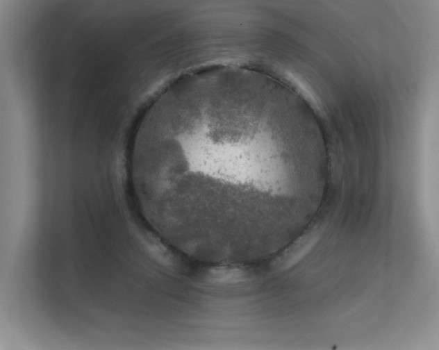 X0000112010354200908101346