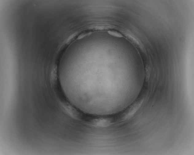 X0000112010356200908101346