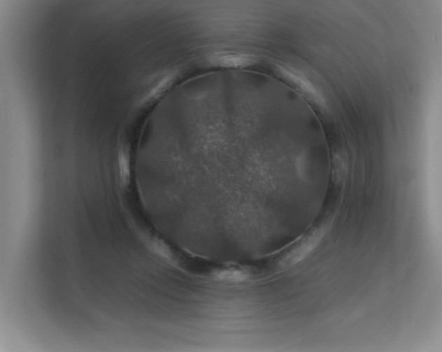 X0000112010358200908101346