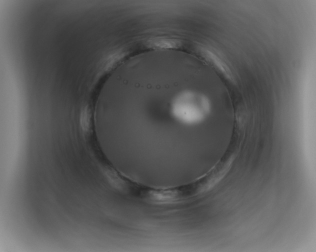 X0000112010359200908101346