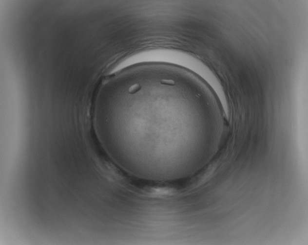 X0000112010360200908101346