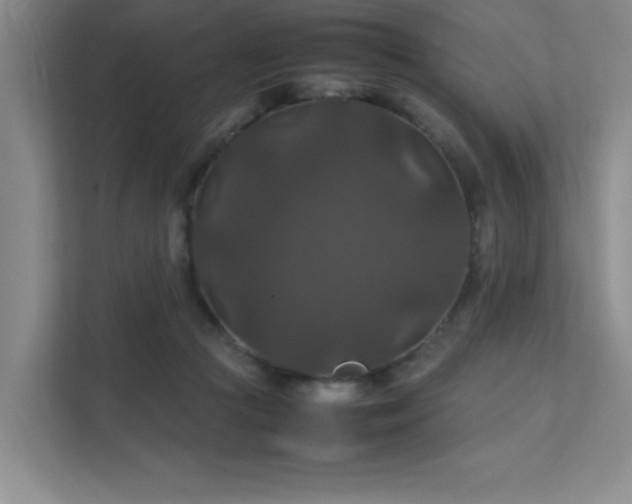 X0000112010361200908101346