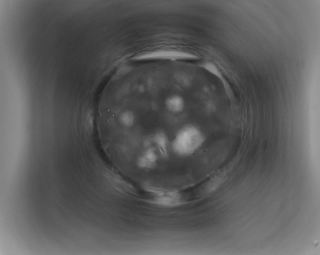 X0000112010363200908101346