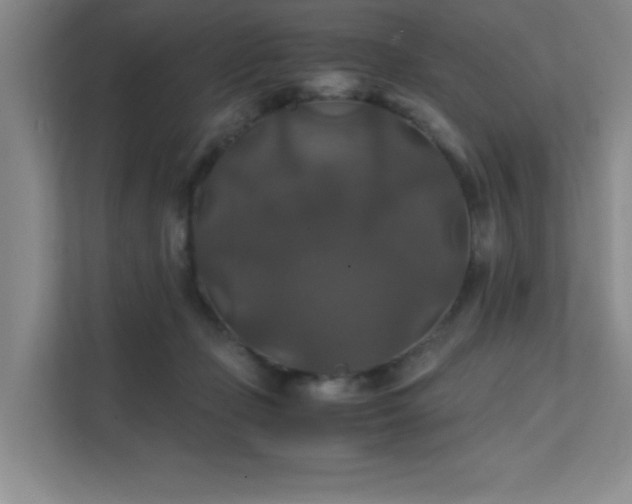 X0000112010365200908101346