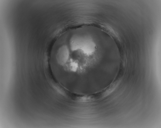 X0000112010366200908101347