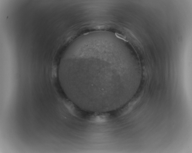 X0000112010368200908101347