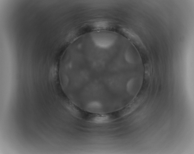 X0000112010369200908101347