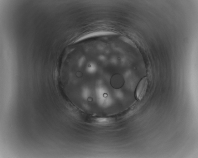 X0000112010371200908101347