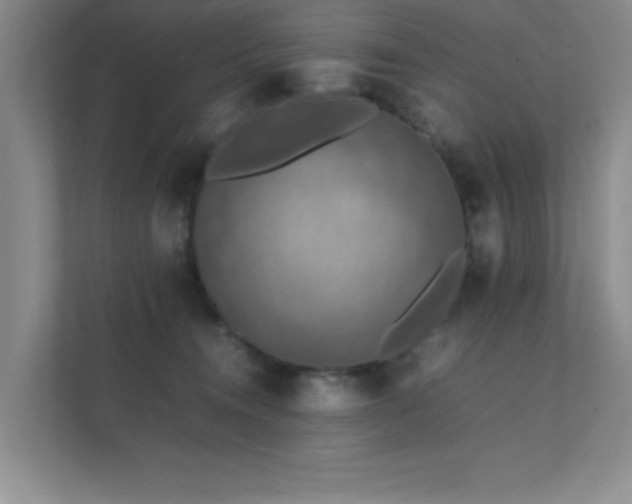 X0000112010372200908101347