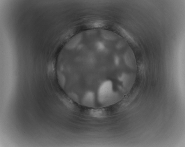 X0000112010373200908101347