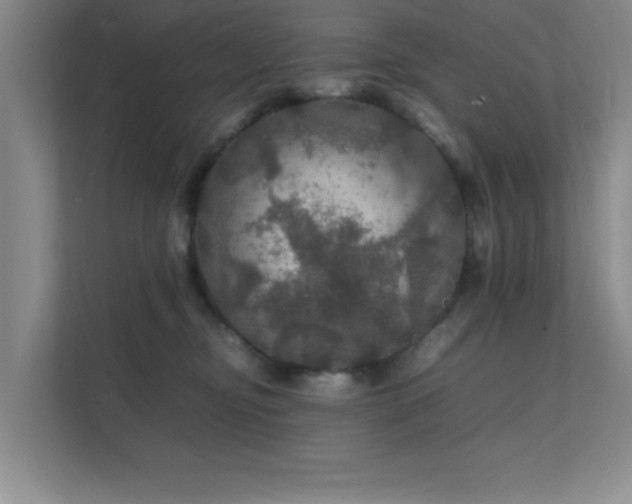 X0000112010374200908101347