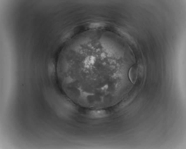 X0000112010375200908101347