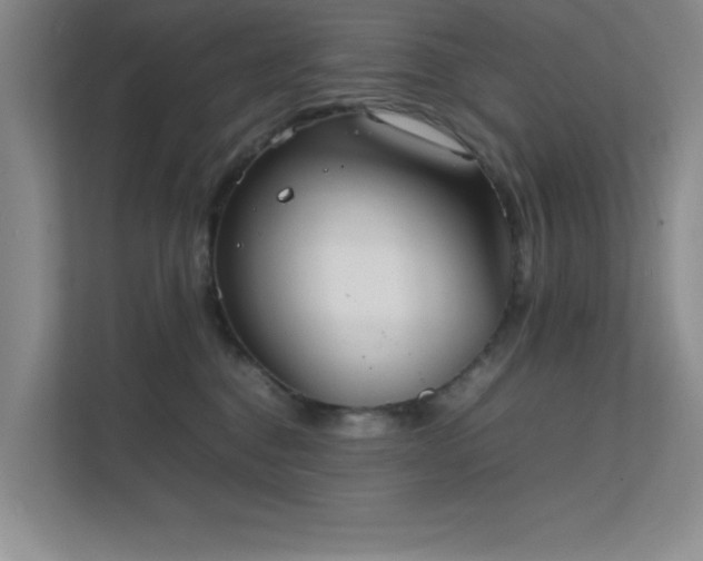 X0000112010376200908101347