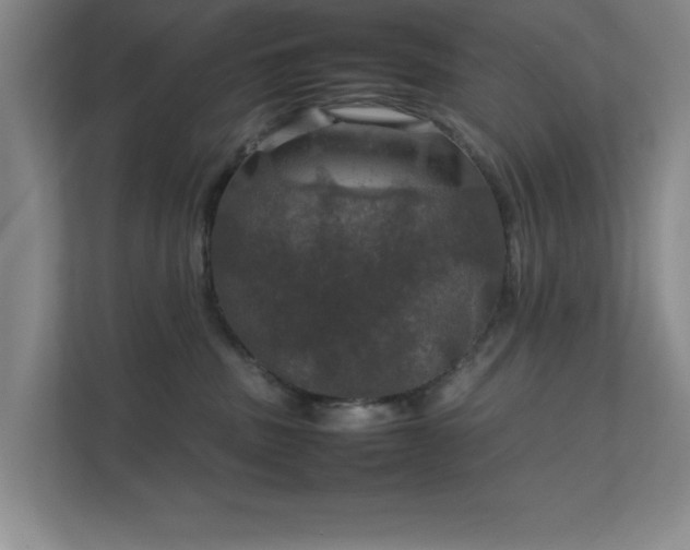 X0000112010379200908101347