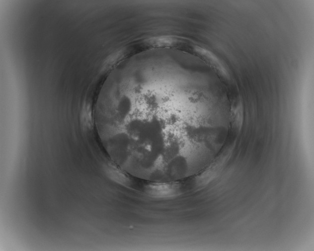 X0000112010381200908101347