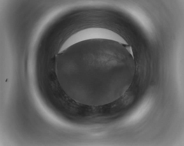 X0000112010383200908101347