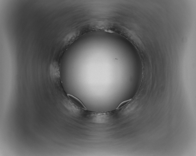 X0000112010384200908101347