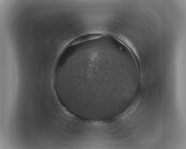 X0000112010385200908101346