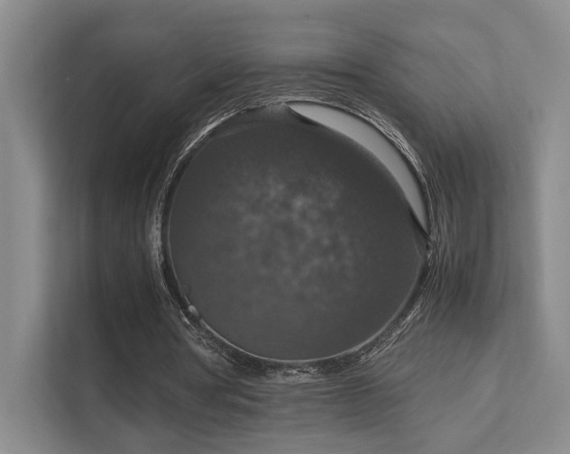 X0000112010386200908101346