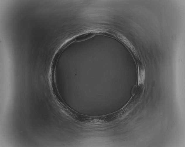 X0000112010387200908101346