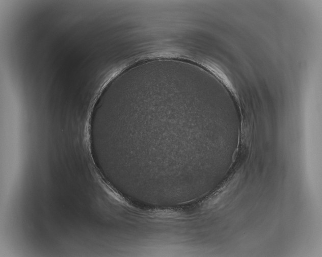 X0000112010389200908101346