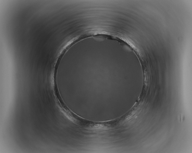 X0000112010390200908101346