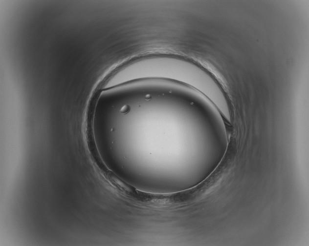 X0000112010391200908101346