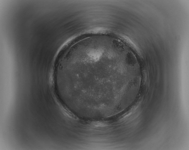 X0000112010392200908101346