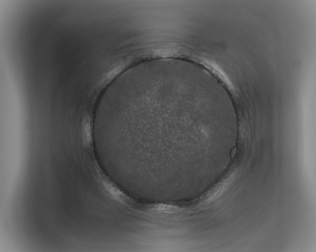 X0000112010393200908101346