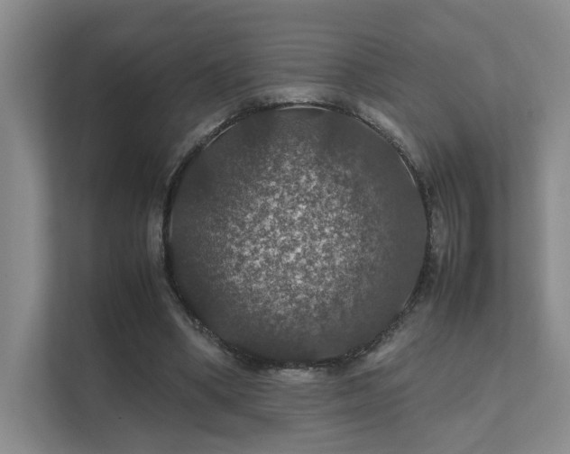 X0000112010394200908101346