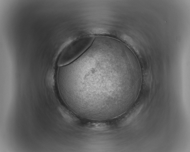 X0000112010395200908101346