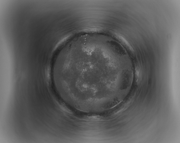 X0000112010396200908101346