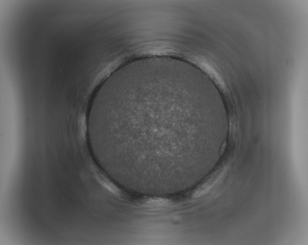 X0000112010397200908101346