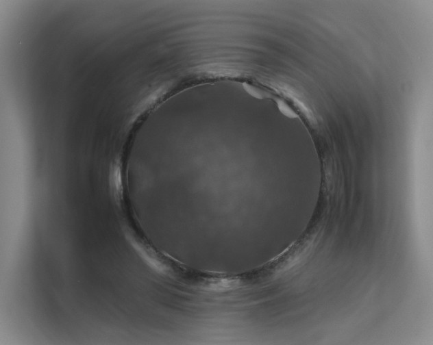 X0000112010398200908101346