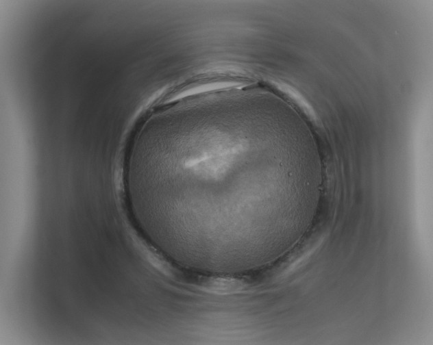 X0000112010399200908101346