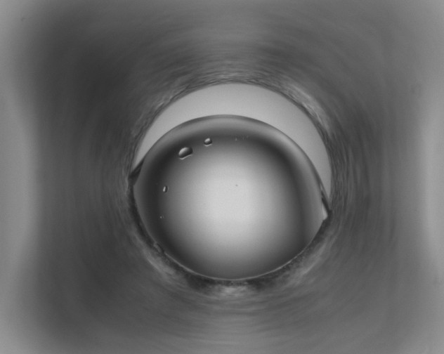 X0000112010401200908101346