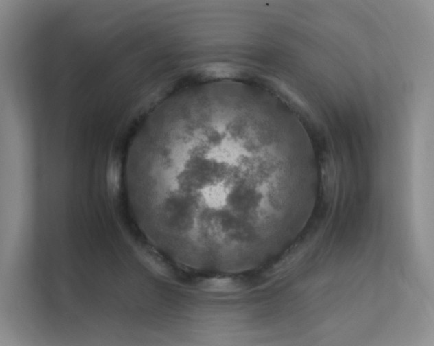 X0000112010406200908101346