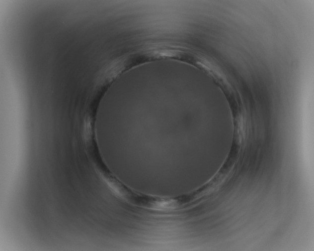 X0000112010410200908101346