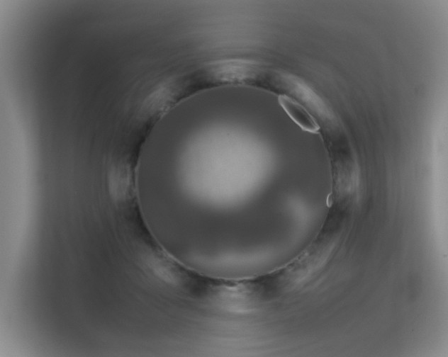 X0000112010411200908101346