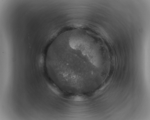 X0000112010412200908101346