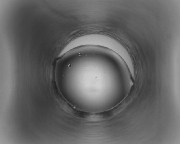 X0000112010413200908101346