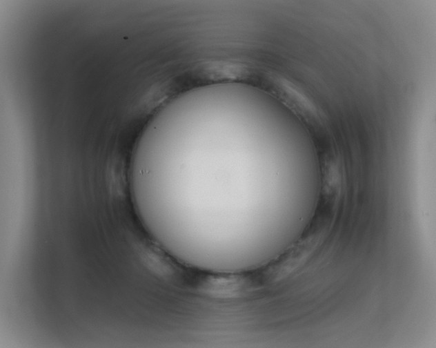 X0000112010414200908101346