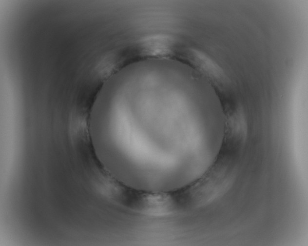 X0000112010415200908101346