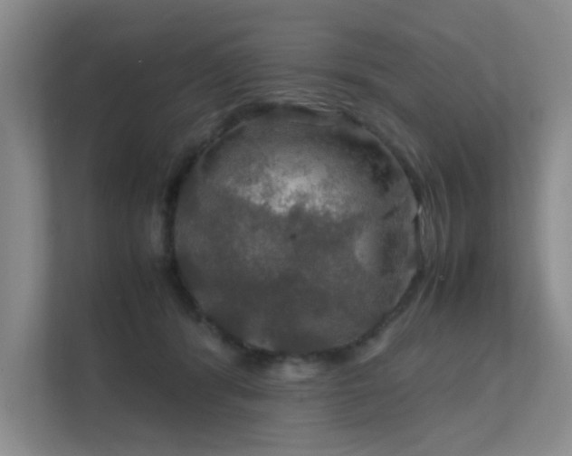 X0000112010416200908101346